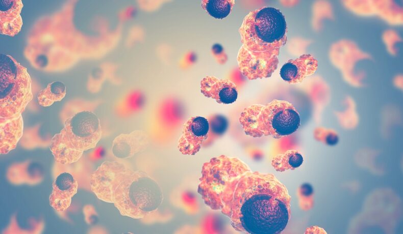 Celule canceroase în corp, în uanțe de portocaliu, negru și galben, pe fundal albastru verzui. Primmii „roboți vii” se pot reproduce acum la nivel celular