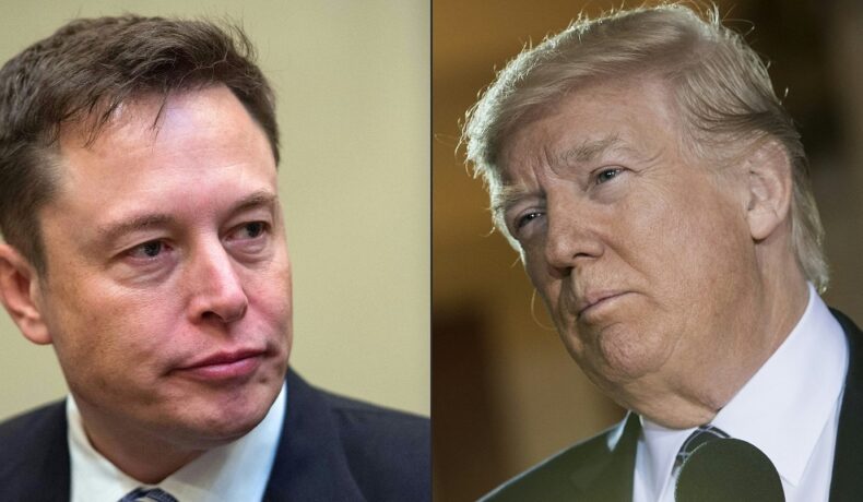 Colaj cu Elon Musk și Donald Trump. Recent, Elon Musk a declarat că i-ar permite lui Donald Trump să revină pe Twitter