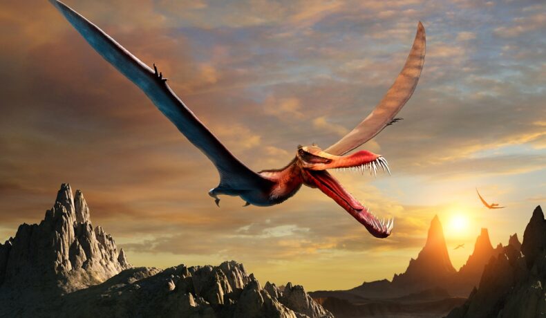 Pterozaur, reptilă zburătoare, pe cer, cu apus pe fundal, similar cu „dragonul morții”, ce a fost descoperit în Argentina