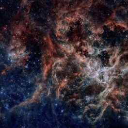 Nebuloasa Tarantula. Recent, Telescopul James Webb a surprins o imagine mai clară cu ea