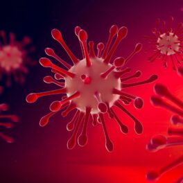 Virusuri roșii pe fundal roșu și negru, similare cu un virus „zombie” înghețat de 50.000 de ani