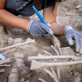 Arheolog care studiază oase vechi, dintr-un mormânt, cu o pensulă, pentru a ilustra cum arheologii au descoperit un „copil vampir” în Polonia