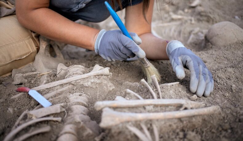 Arheolog care studiază oase vechi, dintr-un mormânt, cu o pensulă, pentru a ilustra cum arheologii au descoperit un „copil vampir” în Polonia