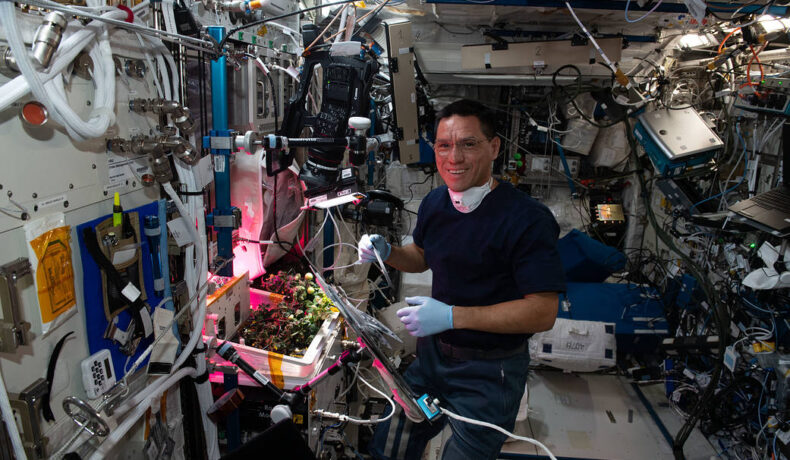 Frank Rubio la bordul SSI, NASA, lângă o recoltă de roșii, dintr-un experiment care a dus la un mister NASA care a fost rezolvat recent
