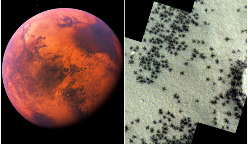 Imagine cu planeta Marte și sute de „păianjeni” de pe suprafața planetei roșii