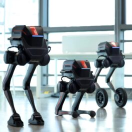 Robotul Tron 1, creat de LimX Dynamics, în 3 variante, numit și „primul robot biped multi-modal din lume”